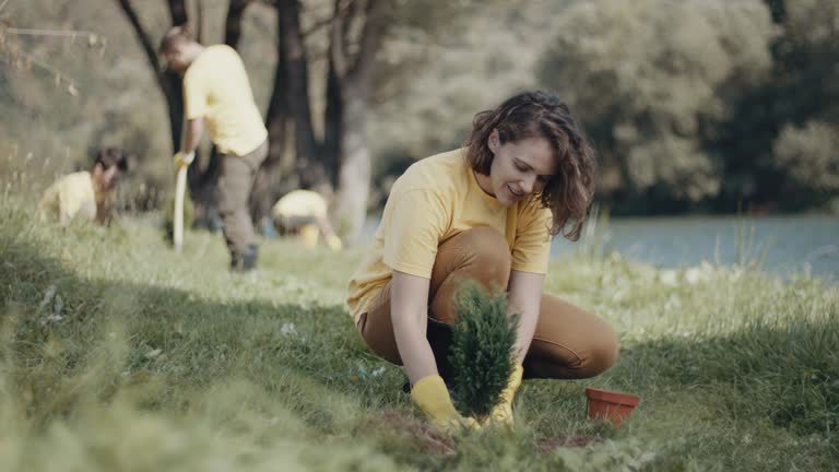 Best Lawn Irrigation Installation and Maintenance  in Cortland, IL